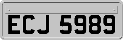 ECJ5989