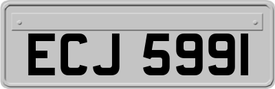 ECJ5991