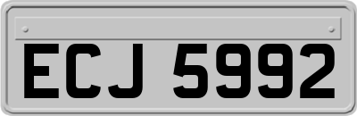 ECJ5992