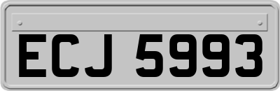 ECJ5993