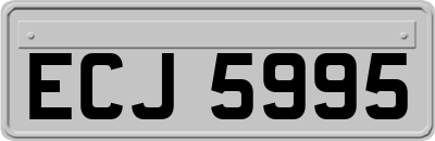 ECJ5995