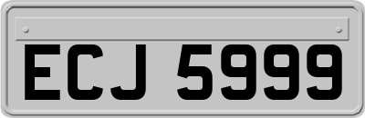 ECJ5999