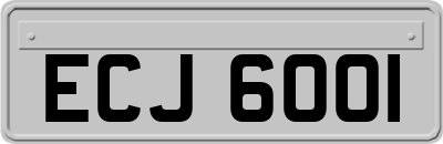 ECJ6001