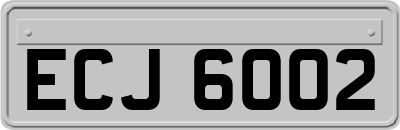 ECJ6002