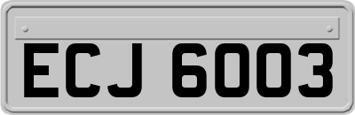 ECJ6003