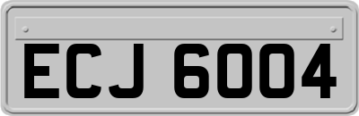 ECJ6004