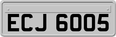 ECJ6005