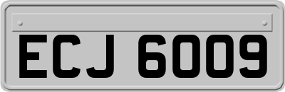 ECJ6009