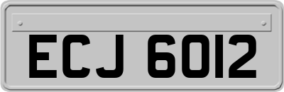 ECJ6012