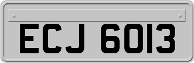 ECJ6013