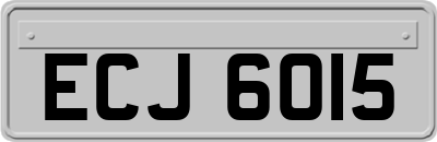 ECJ6015