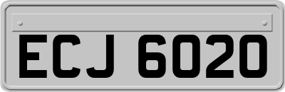 ECJ6020