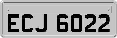 ECJ6022