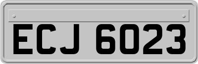 ECJ6023
