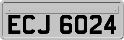 ECJ6024