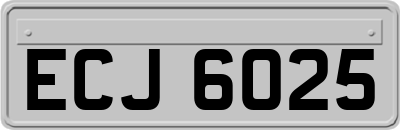 ECJ6025