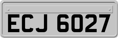 ECJ6027