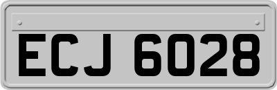 ECJ6028