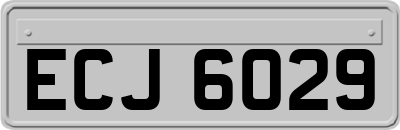 ECJ6029