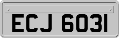 ECJ6031