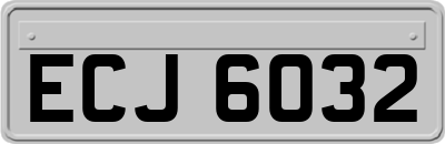 ECJ6032