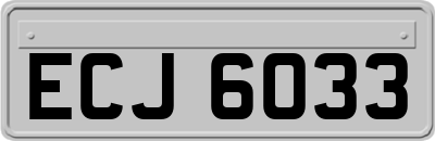 ECJ6033