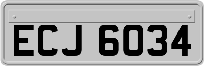 ECJ6034