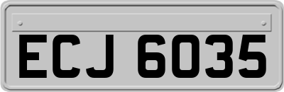 ECJ6035
