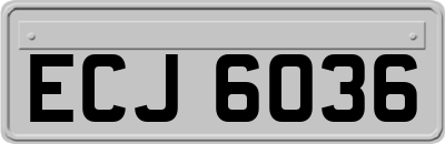 ECJ6036