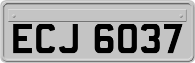 ECJ6037