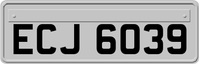 ECJ6039