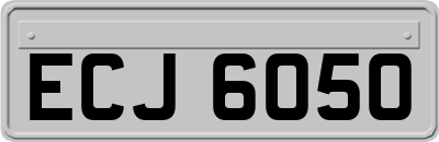ECJ6050