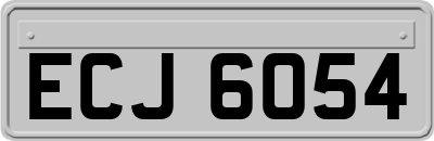 ECJ6054