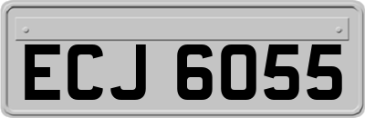 ECJ6055