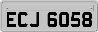 ECJ6058