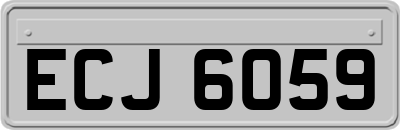 ECJ6059