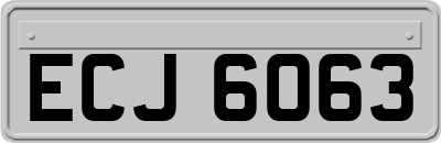 ECJ6063