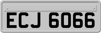 ECJ6066