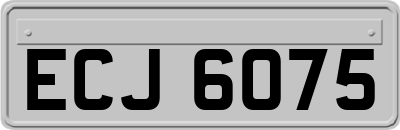 ECJ6075