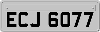 ECJ6077