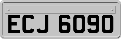 ECJ6090