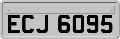 ECJ6095