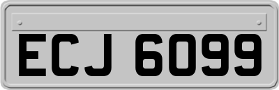 ECJ6099