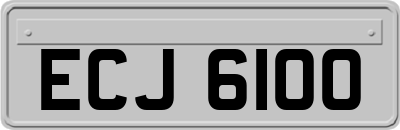 ECJ6100