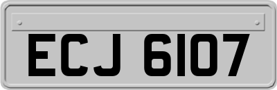 ECJ6107