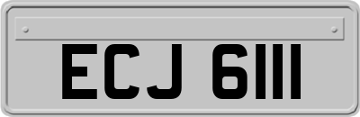 ECJ6111