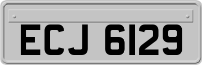 ECJ6129