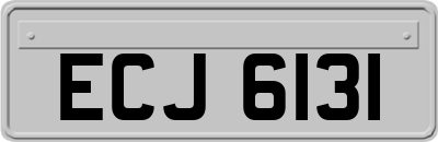 ECJ6131