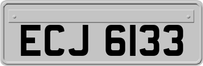 ECJ6133