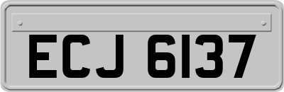 ECJ6137